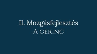 2. Mozgásfejlesztés: A gerinc mozgása és hullámzása