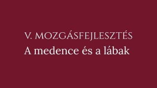 5. Mozgásfejlesztés: A medence és a lábak