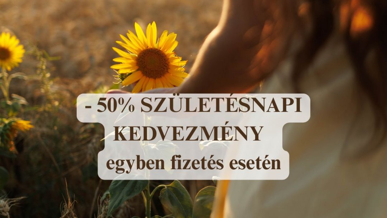 Elemi Ébredés Mentorprogram